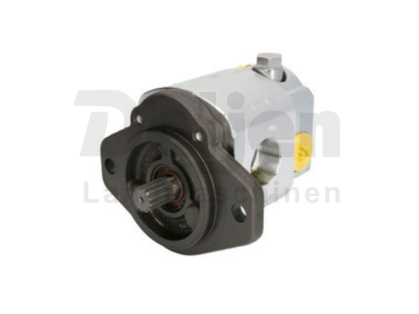 DLH19030006A